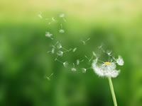 �����̔���